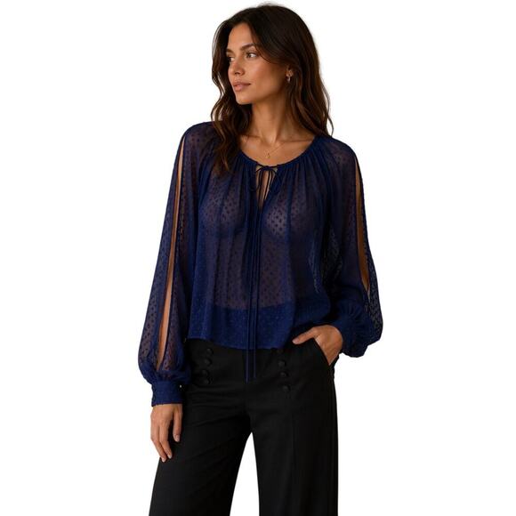 Walter Baker Tops - Walter Baker Navy Sheer Swiss Dot Blouse Womens XS Boho Balloon Sleeve Top
